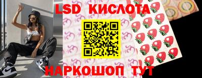 тгк Бийск