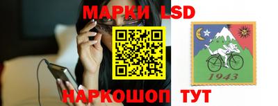 тгк Бийск