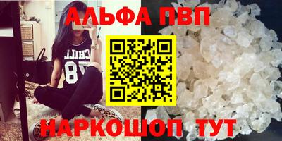 тгк Бийск