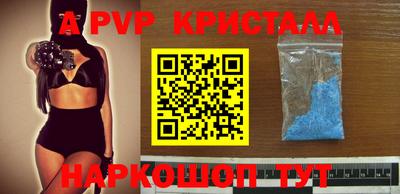 тгк Бийск