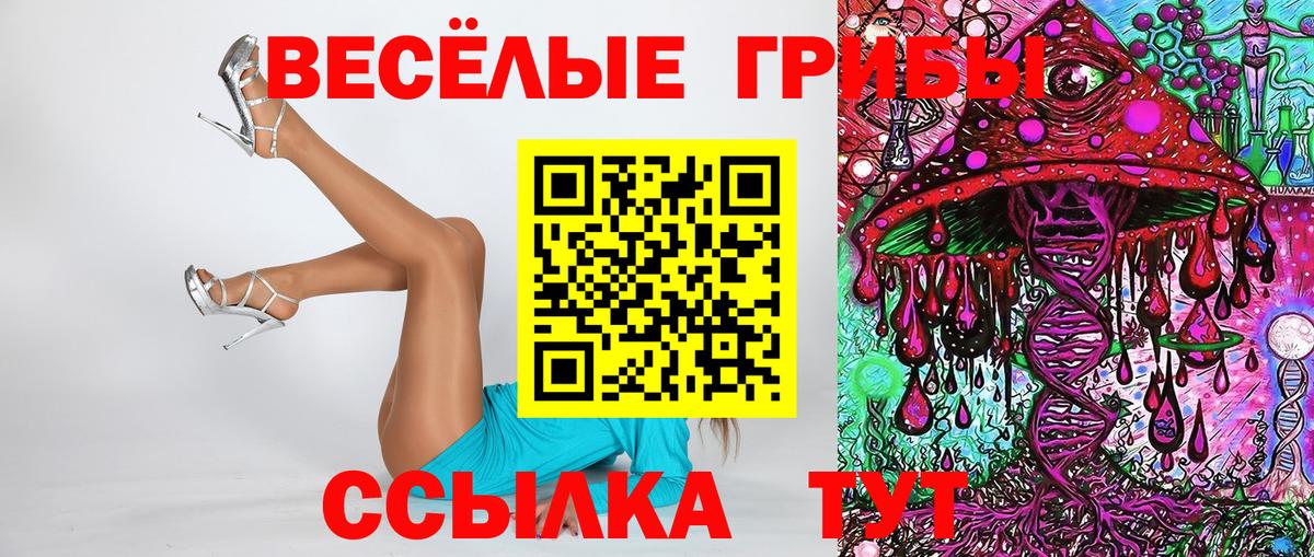 Псилоцибиновые грибы GOLDEN TEACHER Вольск