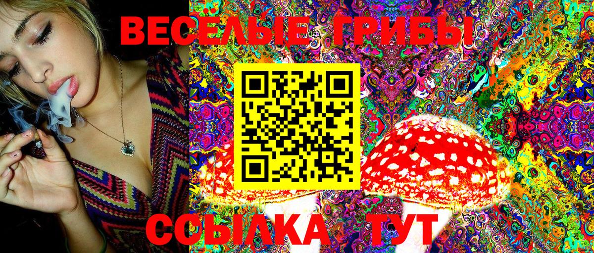 Псилоцибиновые грибы Psilocybe Вольск